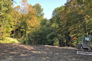 Adirondack Logging